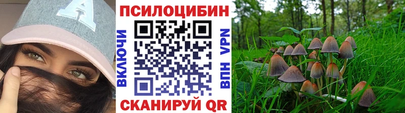 Купить где  Зарайск  Псилоцибиновые грибы прущие грибы 